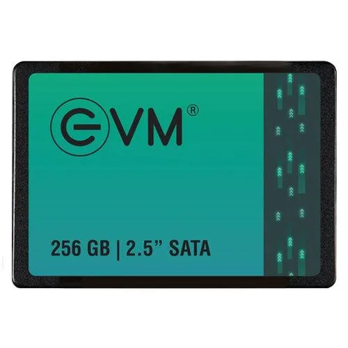 EVM 256GB 2.5" SATA III Internal SSD