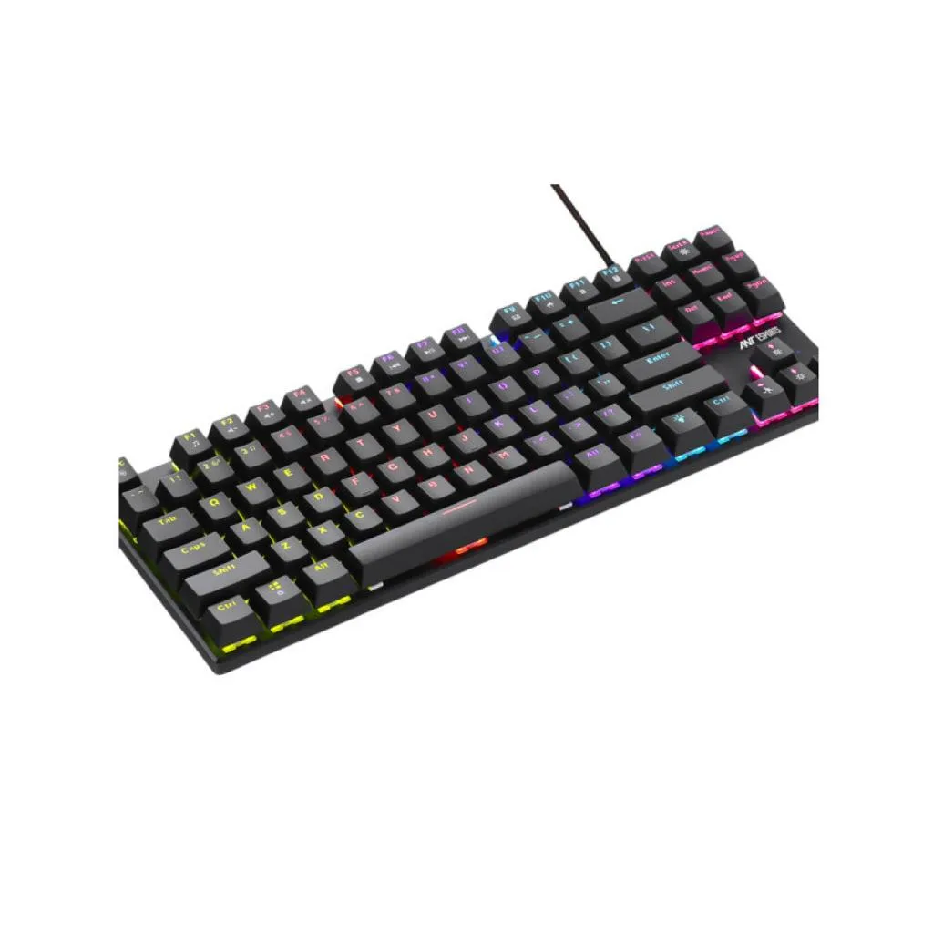 Ant Esports Apex 100 Wired Mechanical RGB Gaming Keyboard