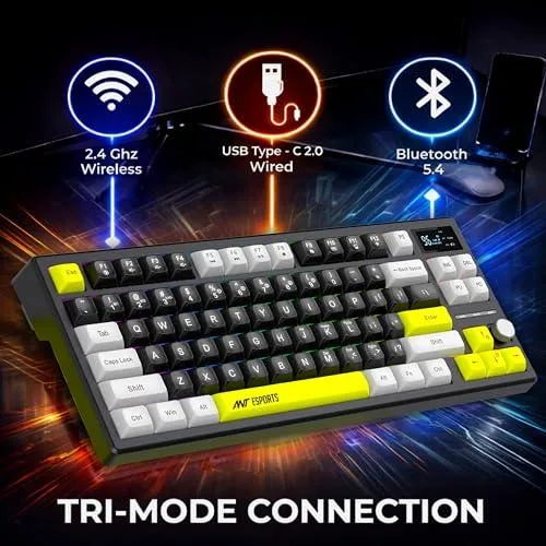 Ant Esports APEX300 Tri-mode Gasket Mount Mechanical Keyboard