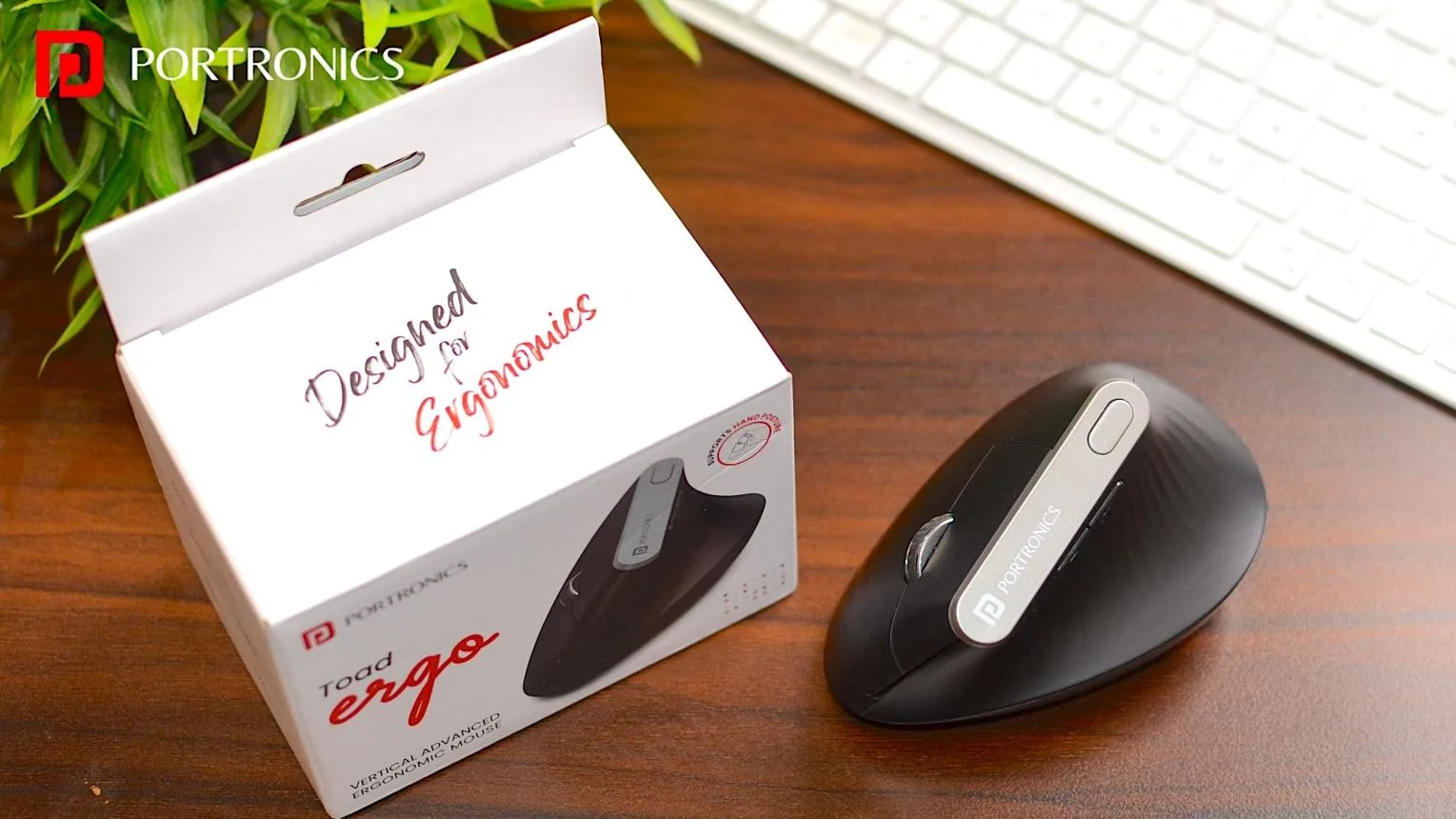 Portronics Toad Ergo 3