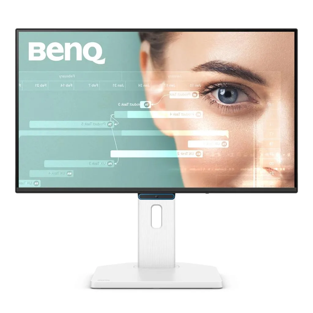 BenQ BL2490TC